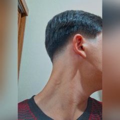 Davi Madeira Da Rocha