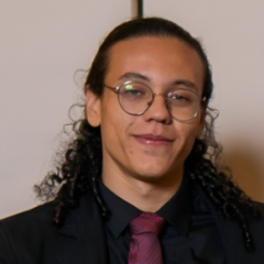 Davi De Almeida Negrisolo