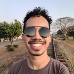 Victor Guimaraes Alves