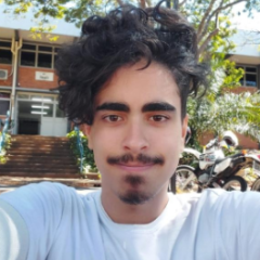 Emanuel Vitor Martins Prates