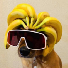 Michael Gabriel Da Silva Lopes