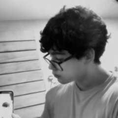 Guilherme Fontenele Pereira Araujo