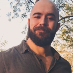 Pedro Mergener Gouvea Mendes