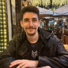 Lucas Lupoli Barbosa Ayoub